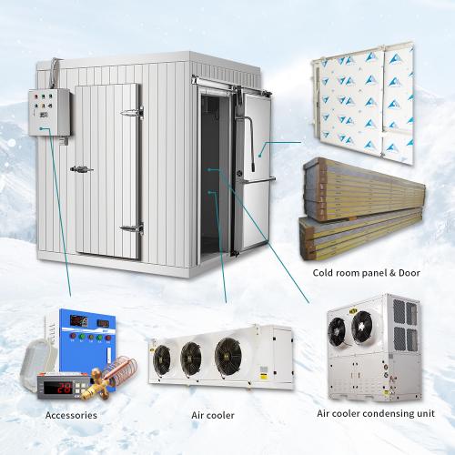 Unlocking the Cold Chain: Discover Refrigerated Storage