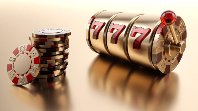 The Allure of the Online Gambling Platform