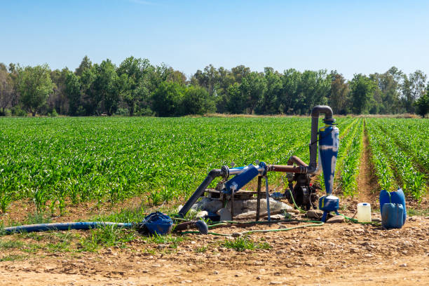 Understanding the History and Evolution of Irrigation Systems: Ancient Techniques to Modern Solutions