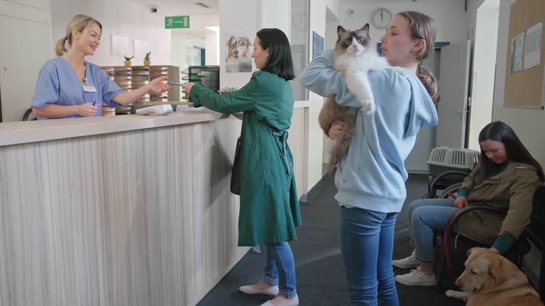 The Secret Life of Pets Hidden Dog and Cat Supplies Every Owner Should Know
